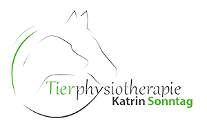 Tierphysiotherapie Katrin Sonntag